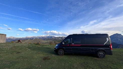 2p Fiat bus uit 2019