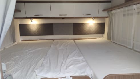 4p Carado Half-Integral from 2022