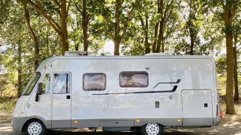 Honden welkom / PET friendly! – Spacious 5P family camper | Fixed & pull-down bed, air conditioning, automatic, pets welcome.