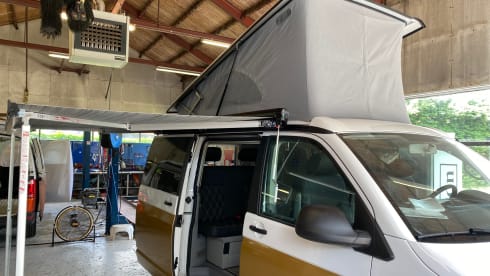 Aloha beach camper Gold – VW T6 California
