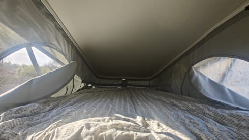 Vinny – 4-sitziger Fiat-Bus ab 2025