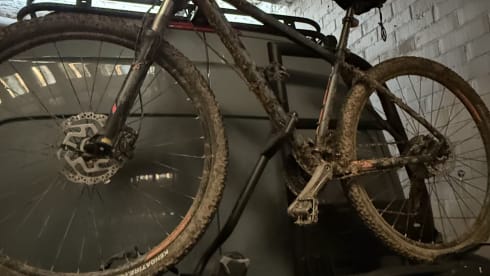 CONSCIOUS.VAN – 2p Mercedes-Benz bus uit 2020