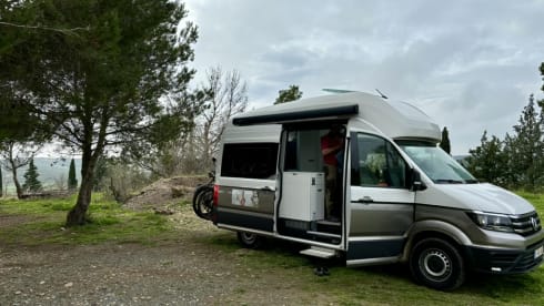 Grote beer – 4p Volkswagen campervan from 2022