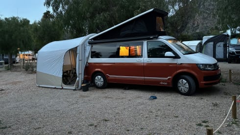 Amigo – 4p Volkswagen campervan uit 2025