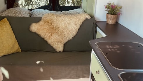 Betsie – 2p Renault campervan uit 2002