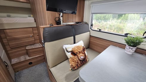 The Van  – 4 berth Fiat Ducato   Weinsberg Motorhome