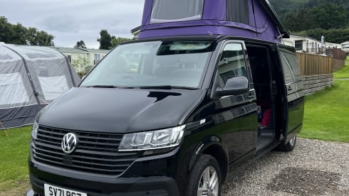 Lily – Lily - T6.1 Adventure Transporter