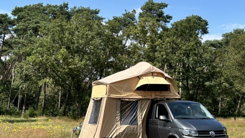 Toit Volkswagen 4p de 2018