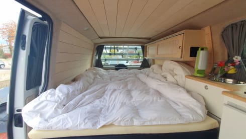 Max – 5p Volkswagen campervan uit 2017