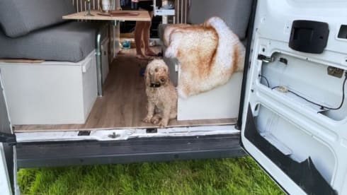 Luv Shack – 3 berth Peugeot campervan from 2016