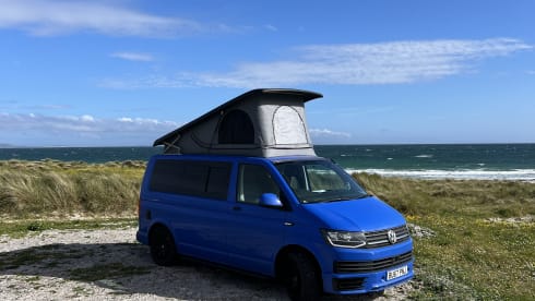Luther – 4 berth Volkswagen T6 campervan from 2017