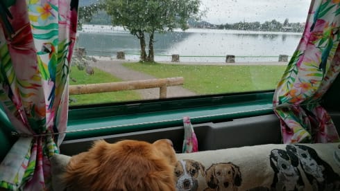 Ludo – Mit Ludwig die Freiheit genießen