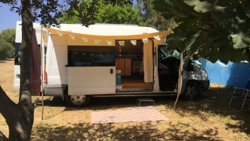 Transie – 2p Ford camper from 2006