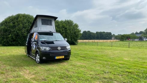 VW T5 Multivan 4motion (4x4)