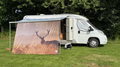 Bürstner Travel Van 620 (off grid)