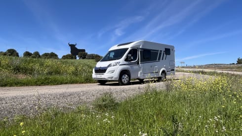 Van 337 – 3p Carado bus from 2024
