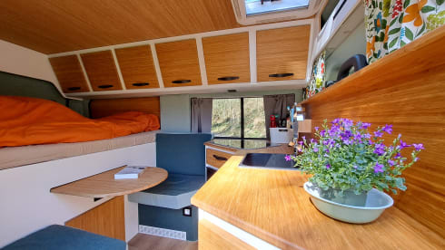 2p Fiat bus from 2020