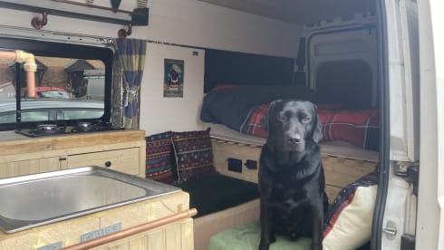 Jerboa – 2 berth Citroën campervan from 2016