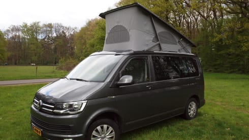 2-/4p VW Westfalia camper van (2016)