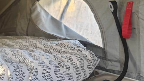 Vinny – 4-sitziger Fiat-Bus ab 2025