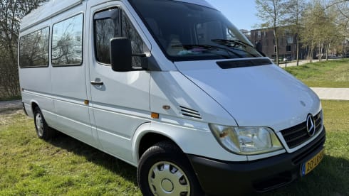 Albino – 3p Mercedes-Benz bus from 2003