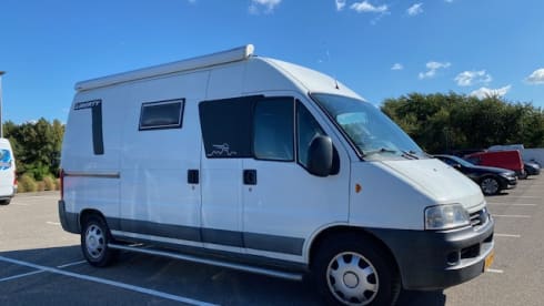 Missy 🚐💚 – 2p Fiat bus uit 2005