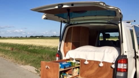 VW T5 Super Surfbus