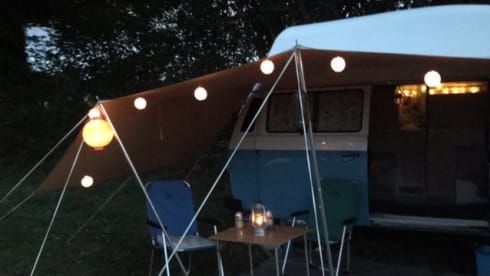 Frenk – Frenk, a beautiful T3 camper is looking for travel companions
