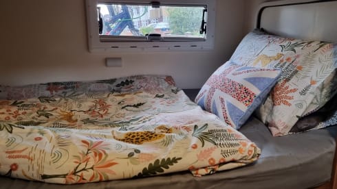 The Family One  – Spacious 6 berth automatic 2018 Roller Team motorhome