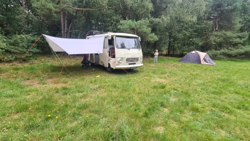 Jeetje – French Peugeot J7 oldtimer campervan 1974