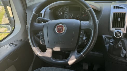Very neat self-built 2p Fiat Ducato bus from 2016 