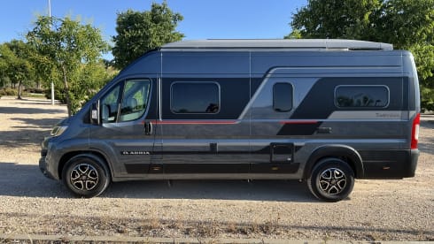 Adria – SuperDeLuxe 4 person Adria CamperVan (2024) in Madrid