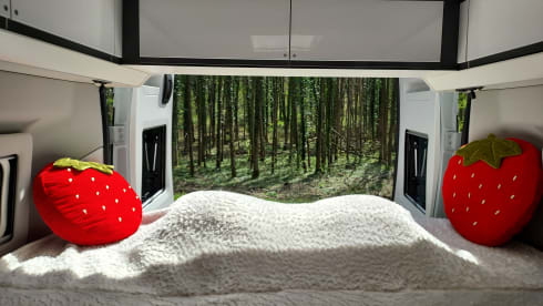 Brixton – 2P Adria Mobil Bus camper from 2021