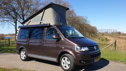 Bruin – Volkswagen T5 California Bus camper with pop-top roof.