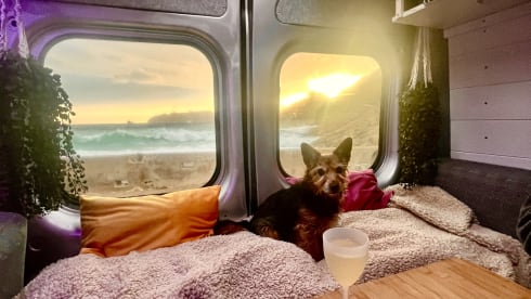 Athena – Athena - the Goddess of Campervans