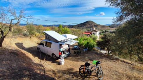 Shenkie – 2p Volkswagen campervan from 2015