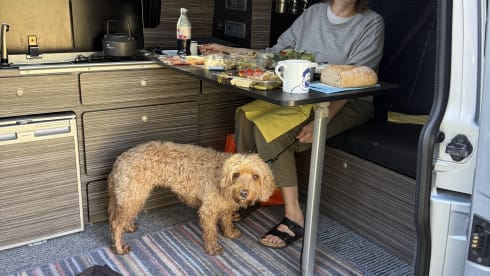 Luna – Volkswagen Transporter 4 Birth camper van