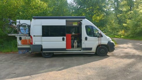 2p Citroën bus uit 2026