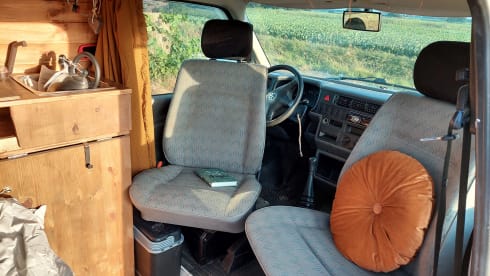 Amerai il nostro bel camper Volkswagen insieme al tuo cane o gatto!