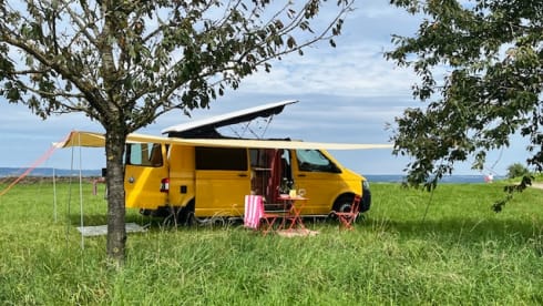 Gele busje – Extended Yellow Volkswagen T5 camper 