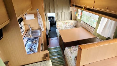 Freddy – "Camper Mansardato Fiat Ducato : Classico Vintage Familiare"