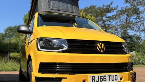 Bumblebee – Bumblebee T6 - entièrement équipé et assuré 