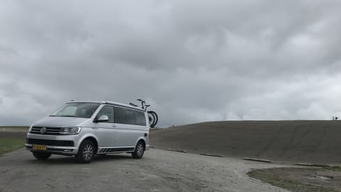 Bulli – Original VW California Ocean T6 auto. Euro6