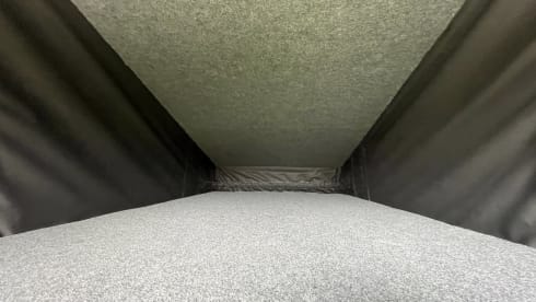 Daisy – Daisy - VW T5 Campervan