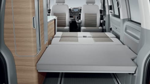 Fitty The Beagle – Volkswagen California Coast