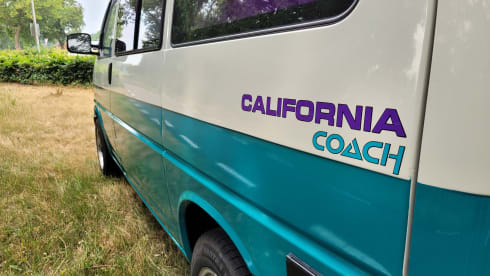 Dolly! – Go on an unforgettable road trip with this T4 Westfalia! KM-free!
