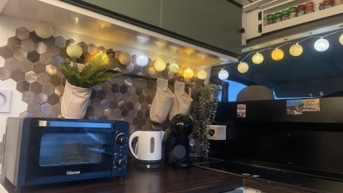 SUBA – On an adventure with SUBA!
