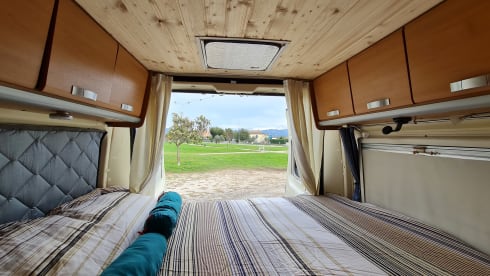 TheTripTherapy – If you can dream it you can do it.