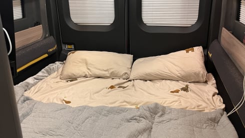 Theodore  – Autobus Swift à 2 couchettes à partir de 2025