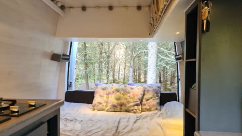 Nomad – Bespoke dog friendly adventure van 